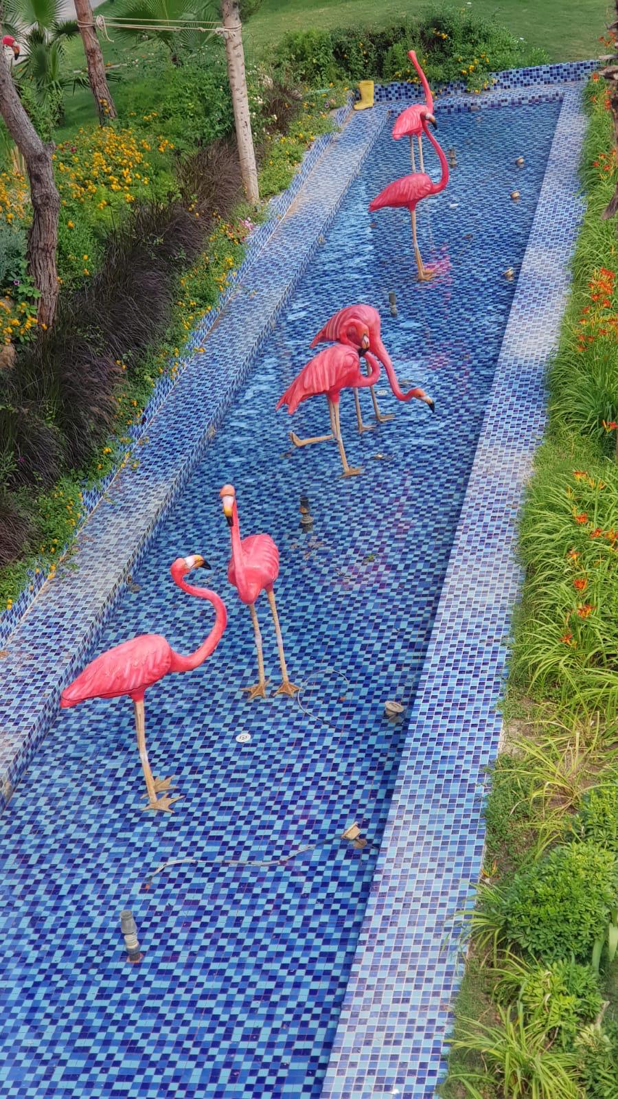 Fiberglas Flamingo Heykelleri | Otel, Park ve Peyzaj Dekorasyonu
